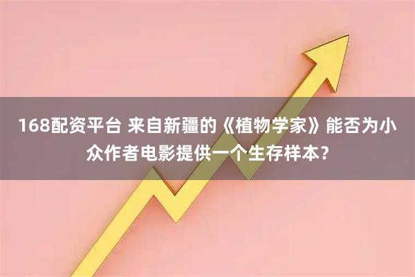 168配资平台 来自新疆的《植物学家》能否为小众作者电影提供一个生存样本？