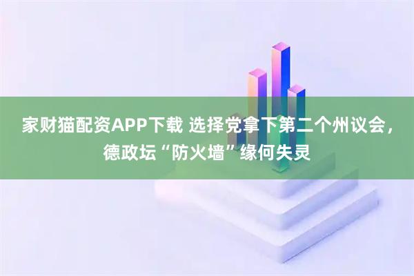 家财猫配资APP下载 选择党拿下第二个州议会，德政坛“防火墙”缘何失灵
